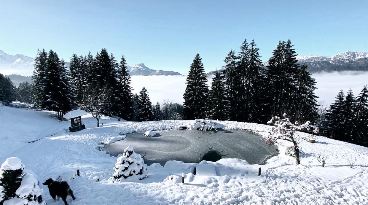 La Ferme Des Vonezins Hotel Thônes Kültér fotó