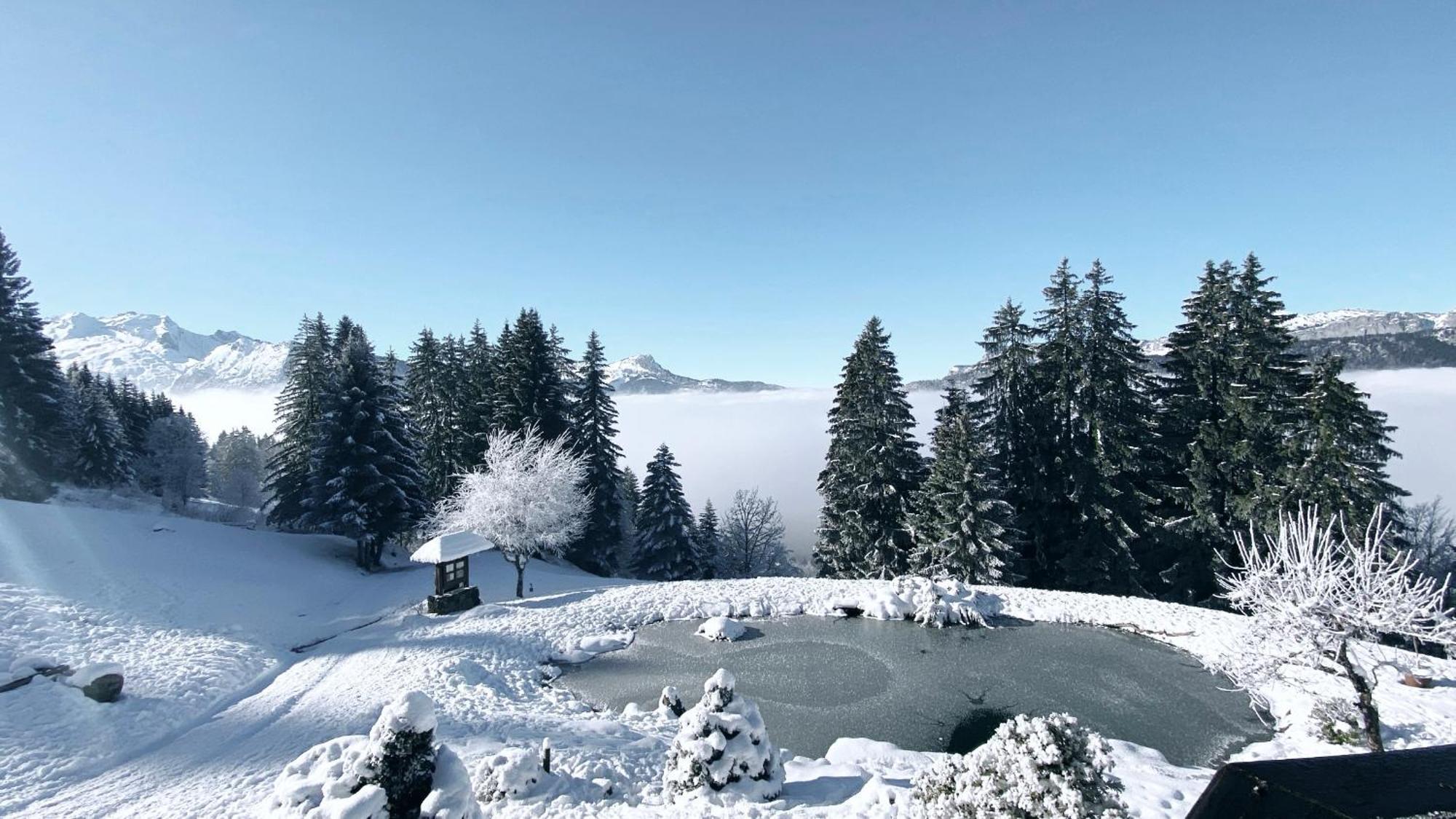 La Ferme Des Vonezins Hotel Thônes Kültér fotó