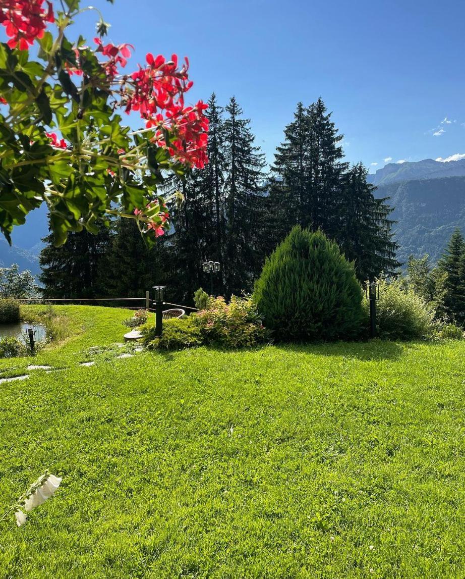 La Ferme Des Vonezins Hotel Thônes Kültér fotó
