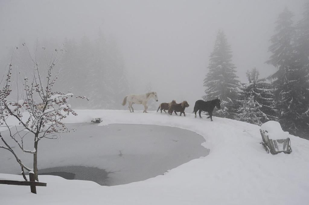 La Ferme Des Vonezins Hotel Thônes Kültér fotó